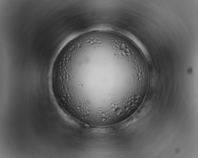 X0000103500861200809121737