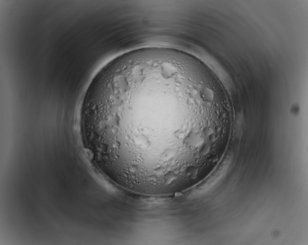 X0000103500862200809121737