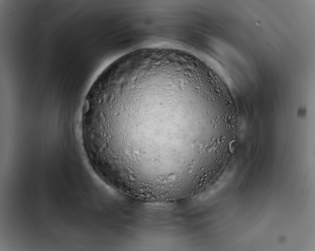 X0000103500863200809121737