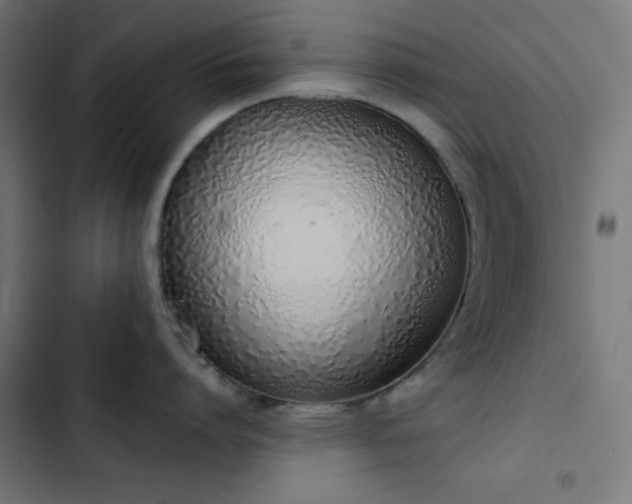 X0000103500864200809121737