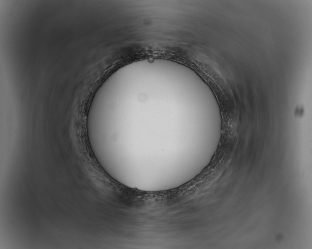 X0000103500865200809121736