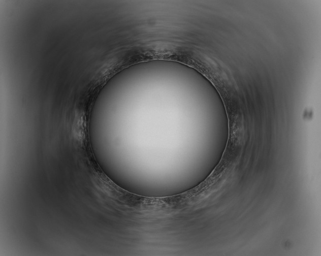 X0000103500866200809121736