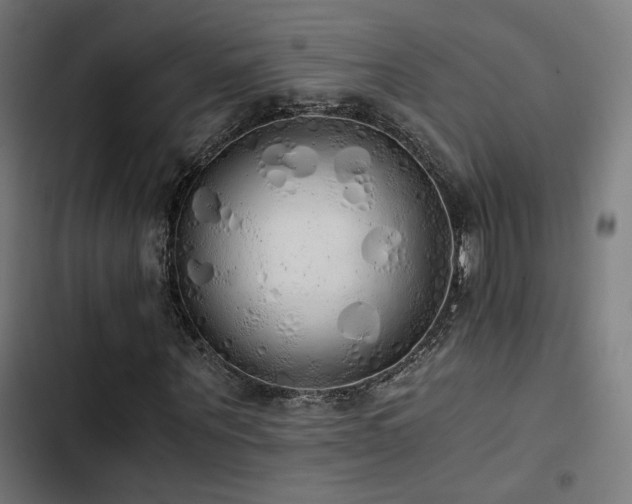 X0000103500867200809121736