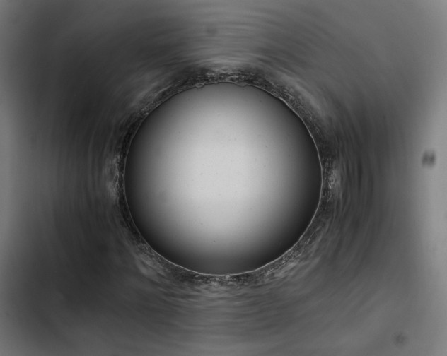 X0000103500868200809121736