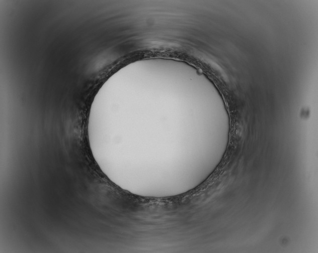 X0000103500869200809121736