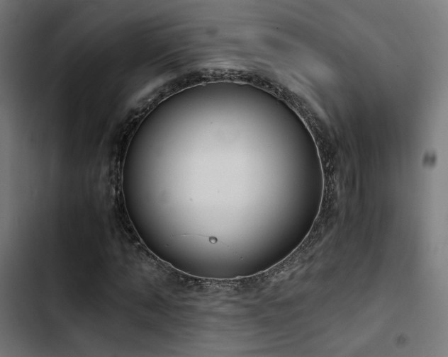 X0000103500870200809121736