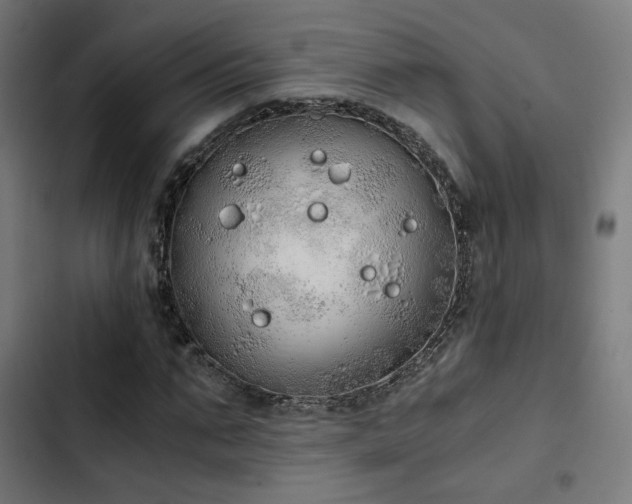 X0000103500871200809121736