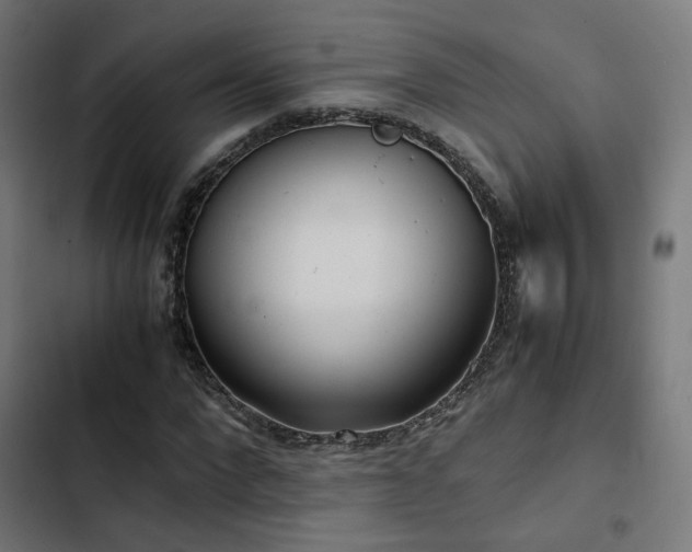 X0000103500872200809121736