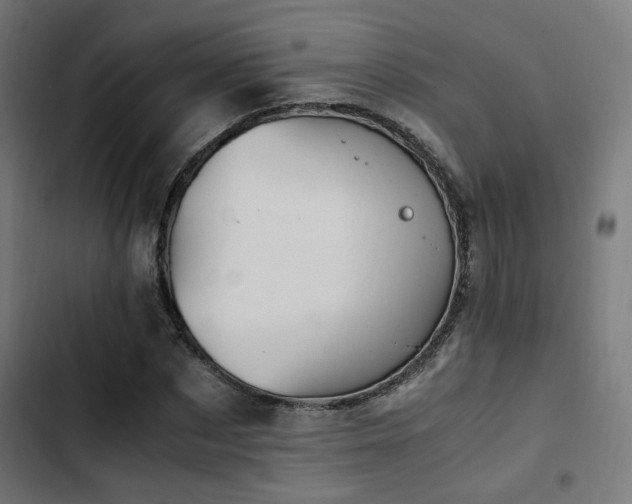 X0000103500873200809121736