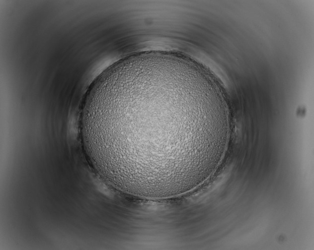 X0000103500874200809121736