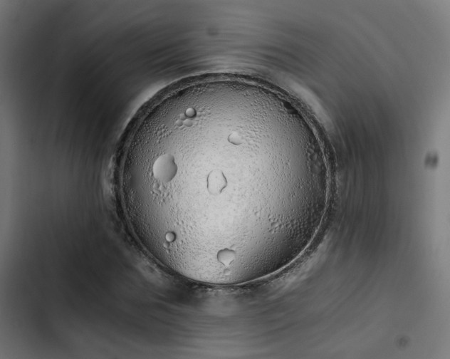 X0000103500875200809121736