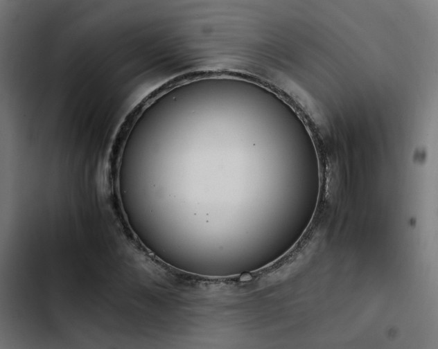 X0000103500876200809121736