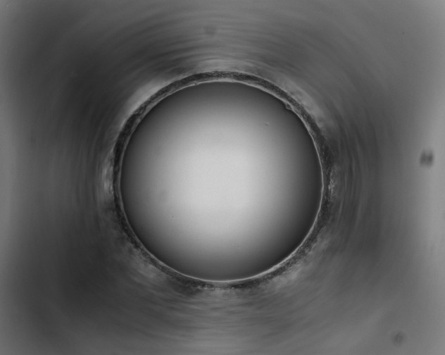 X0000103500877200809121736