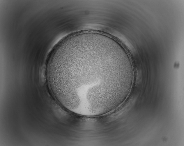 X0000103500878200809121736