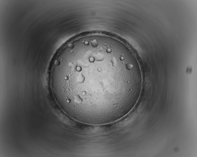 X0000103500879200809121736