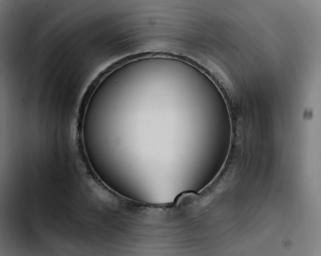 X0000103500880200809121736