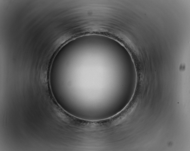 X0000103500881200809121736