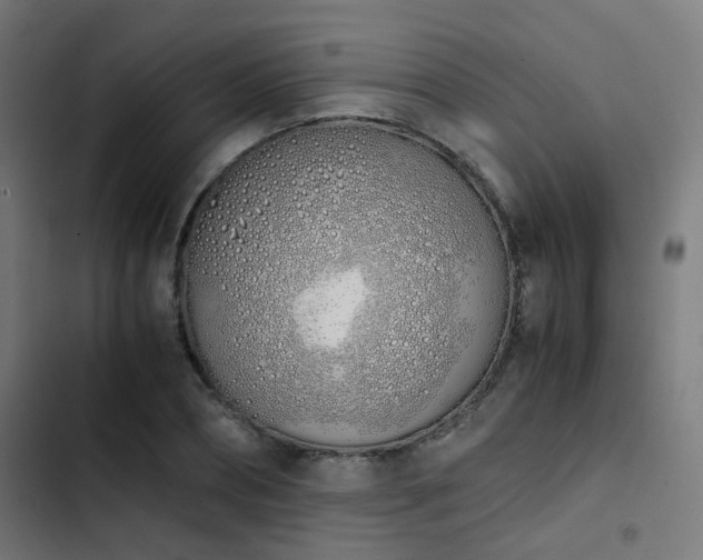 X0000103500882200809121736