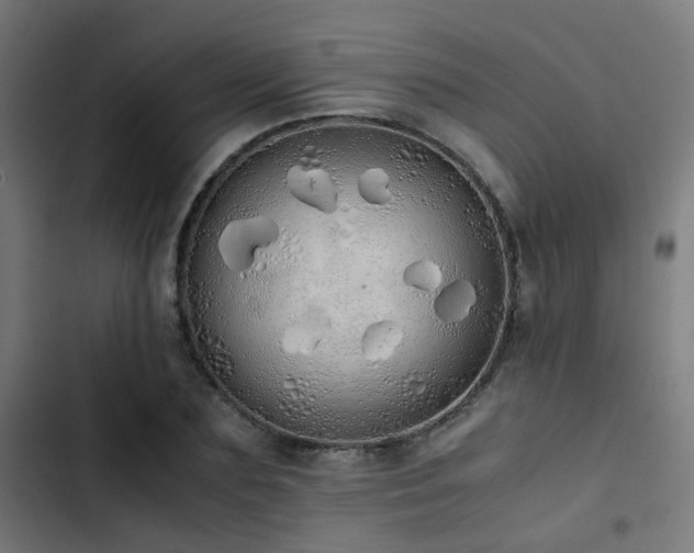 X0000103500883200809121736