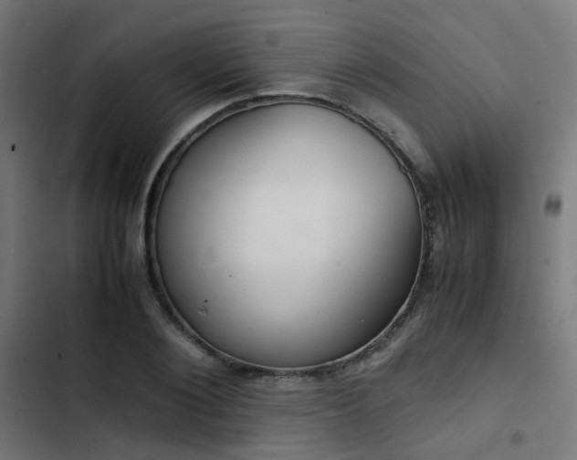 X0000103500884200809121736