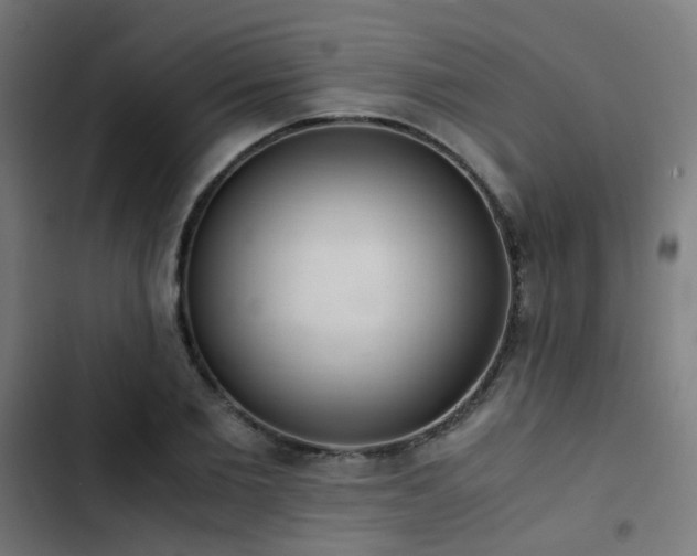 X0000103500885200809121736