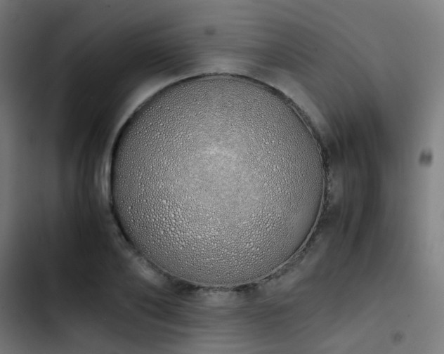 X0000103500886200809121736