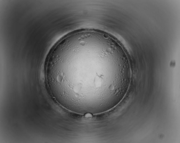 X0000103500887200809121736