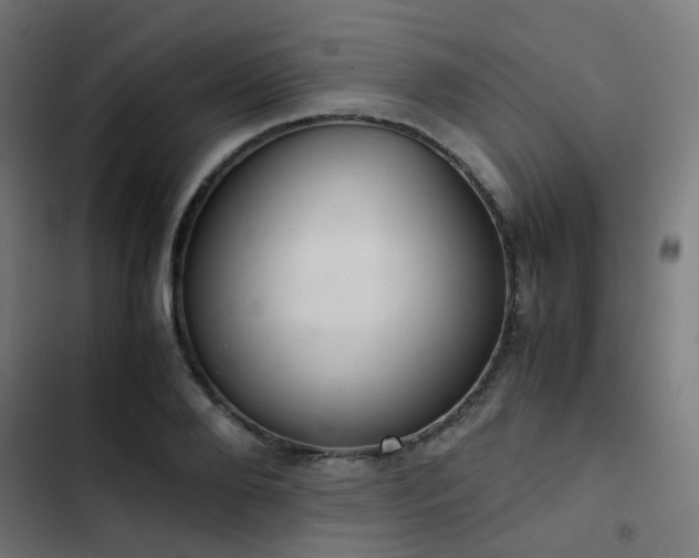 X0000103500888200809121736