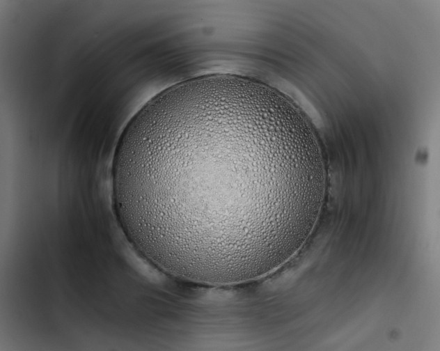 X0000103500890200809121736