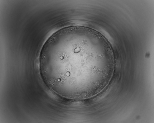 X0000103500891200809121736