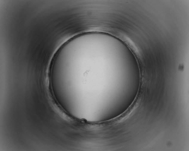 X0000103500892200809121736