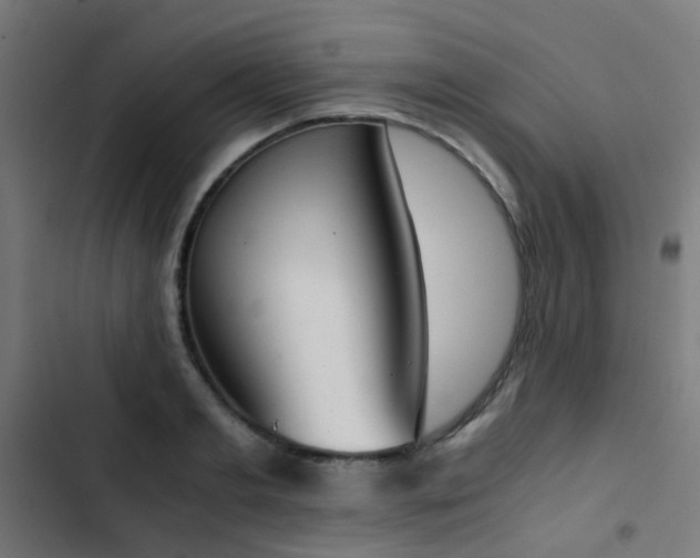 X0000103500893200809121736