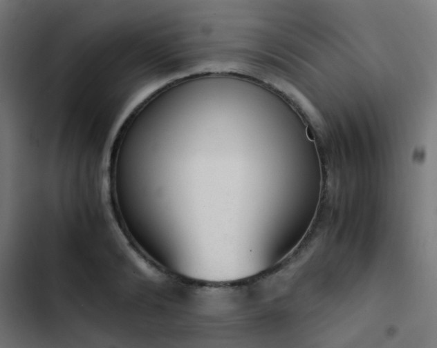 X0000103500894200809121736