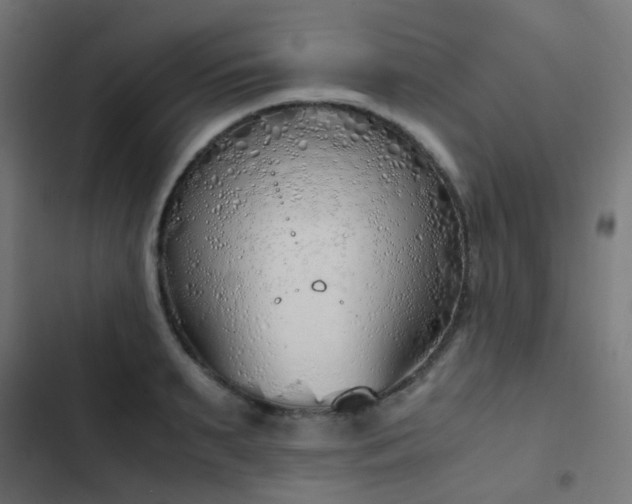 X0000103500895200809121736