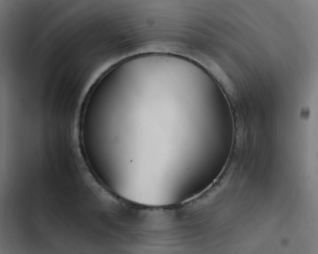 X0000103500896200809121736