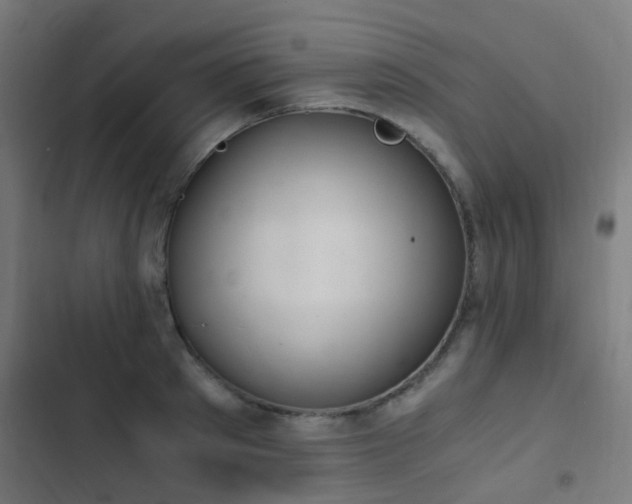 X0000103500897200809121736