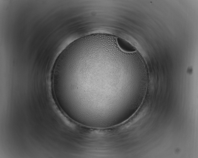 X0000103500898200809121736