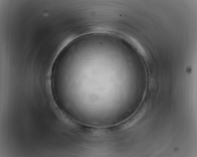 X0000103500899200809121736