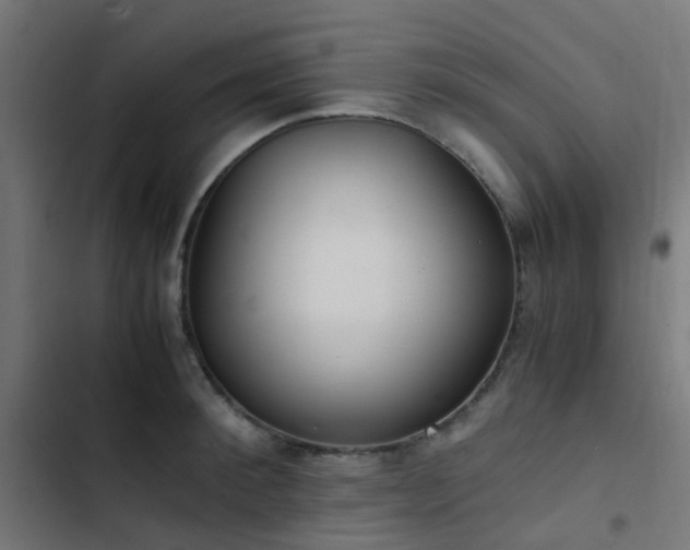 X0000103500900200809121736