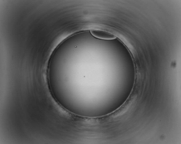 X0000103500901200809121736