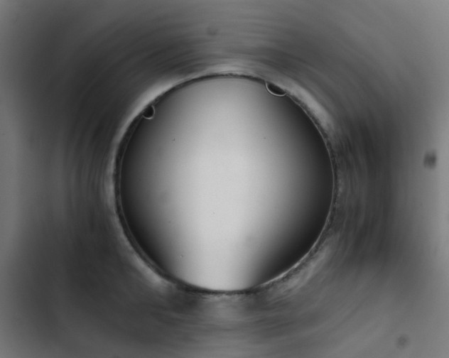 X0000103500902200809121736