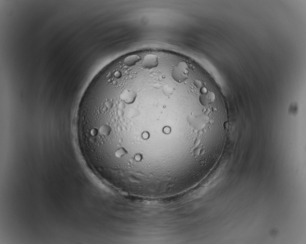 X0000103500903200809121736