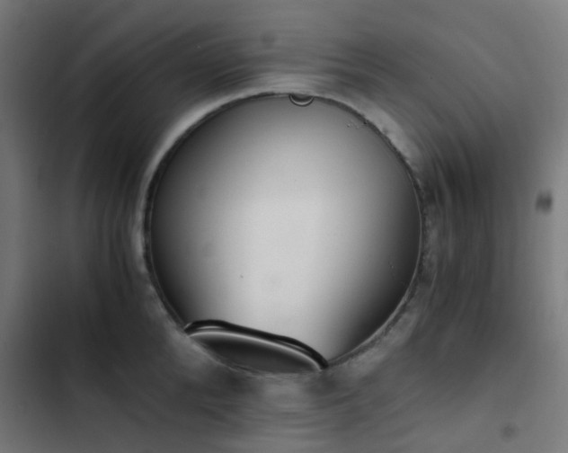 X0000103500904200809121736