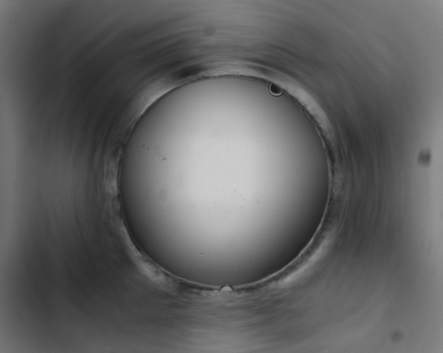 X0000103500905200809121736