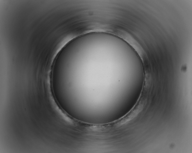 X0000103500906200809121736