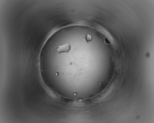 X0000103500907200809121736