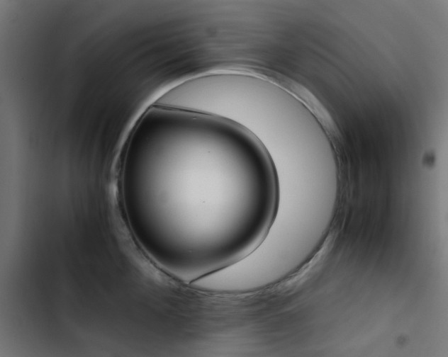 X0000103500908200809121736