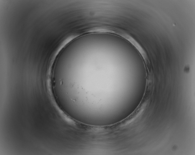 X0000103500909200809121736