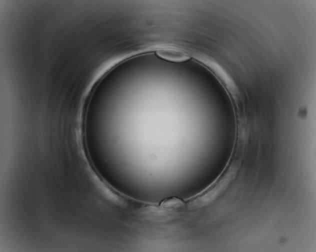 X0000103500910200809121736