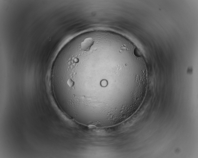 X0000103500911200809121736